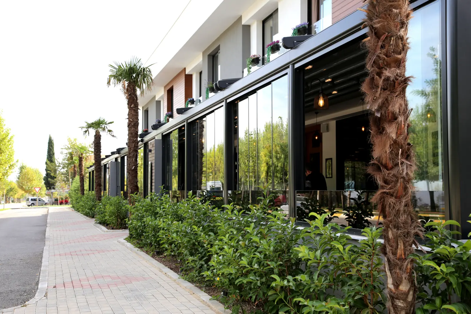 Terraza de restaurante con pérgola junto a la acera y palmeras